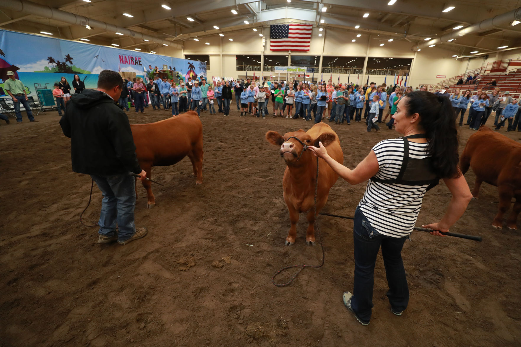 061819_RedAngusJudging29_bjs.JPG